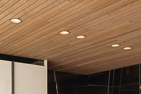 Thermisch essen plafond met profiel Open line