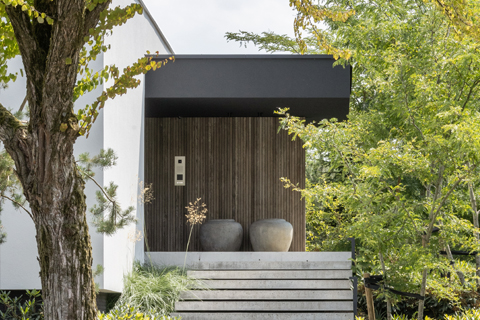 Voordeur bekleed met voorvergrijsd HOTwood essen Fine line QC