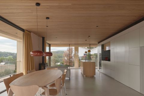 Plafond in thermisch naaldhout (foutvrij)