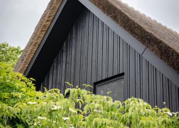 Topgevel bekleed met zwart houten profiel Jump line 