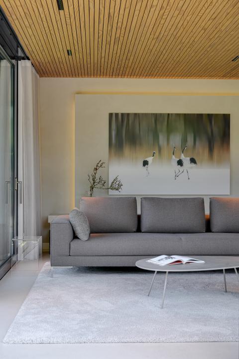 Modern interieur met duurzaam houten plafond