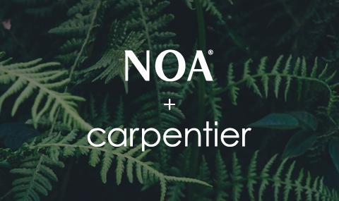 Carpentier, partner in totaalbelevingscentrum Noa outdoor living te Kruisem
