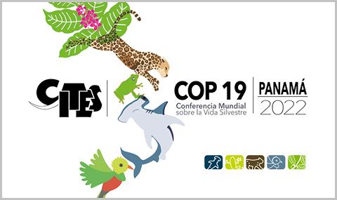 CITES CoP19 in Panama City