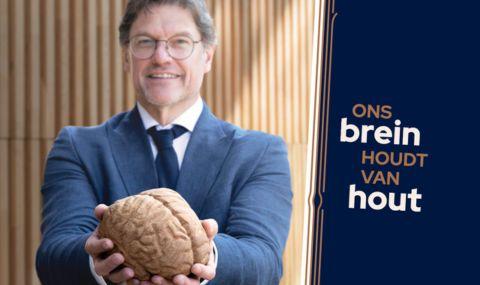 Wetenschappelijk bewezen: ons brein houdt van hout