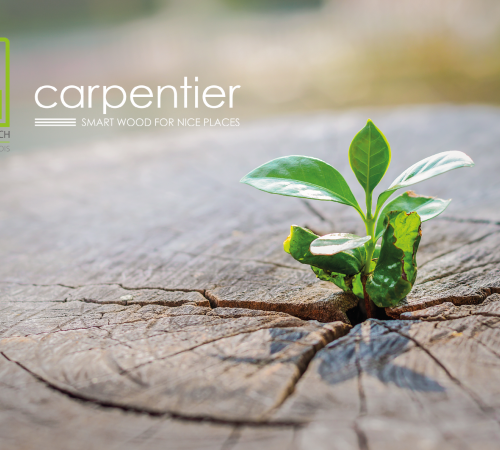 Nieuwe samenwerking tussen Carpentier en HfM 