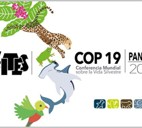 CITES CoP19 in Panama City