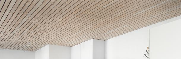 Douglas plafond