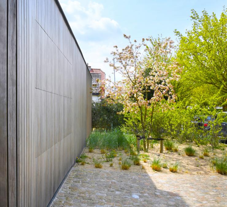Thermisch naaldhout (clear pine) gevelbekleding