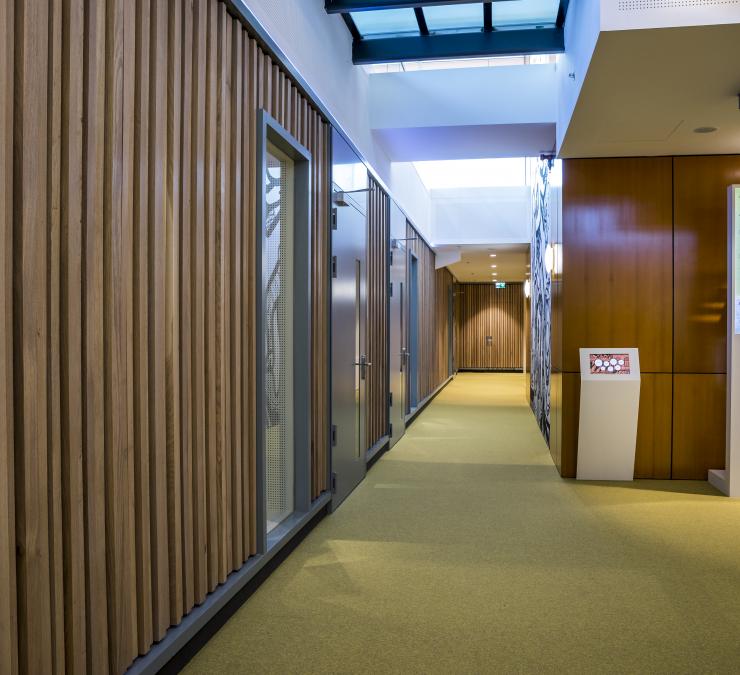 Wandbekleding in eiken maatwerk